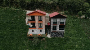 Green hill apart